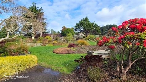 Mendocino Botanic Garden Groomed Lawn | HI Travel Tales