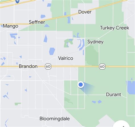 CITY OF VALRICO - Updated January 2025 - Valrico, Florida - Local ...