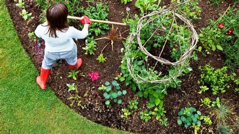 Orti e giardini di giugno - LiberEtà