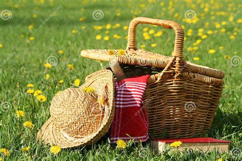 Picnic on the grass stock image. Image of summer, meadow - 768811