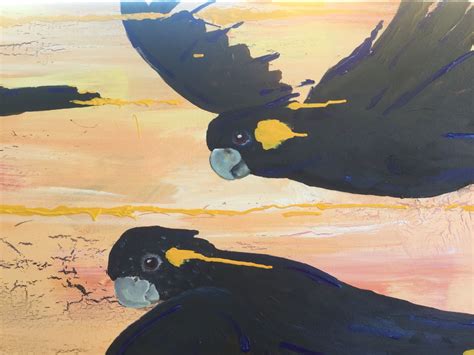 Yellow tail black cockatoo acrylic on canvas Australia Animals, Cockatoo, Adult Children ...