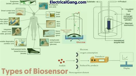 What is a Biosensor? | Types of Biosensor