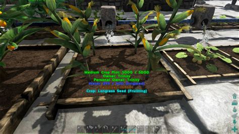 Longrass & Seeds - Ark: Survival Evolved