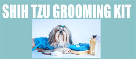 Shih Tzu grooming & tools – Quick and Easy Top tips you can use Today!