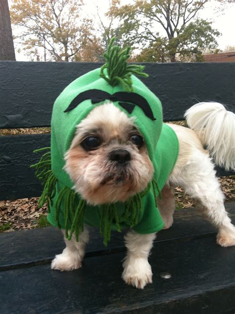 Grinch costume by FiercePetFashion by FiercePetFashion on Etsy – Grinch Dog Costume | DocTemplates