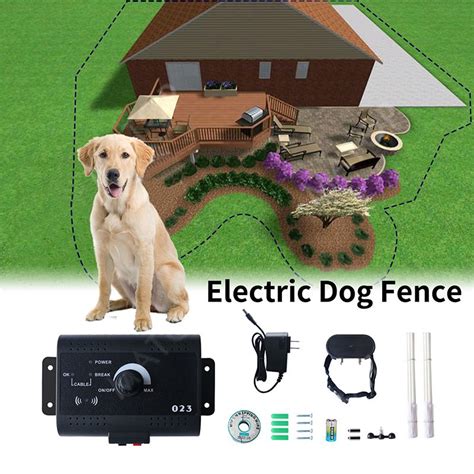 +17 What Is The Best Electric Dog Fence References