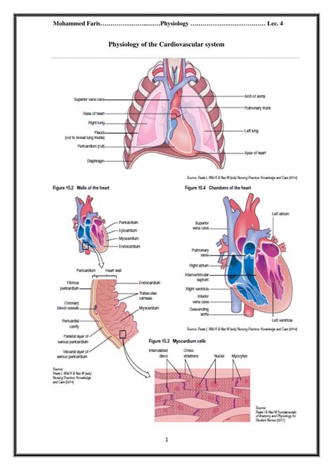 Anatomy Of Cardiovascular System Pdf