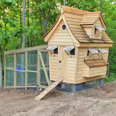 14 Chicken Coop Ideas and Designs You Can Build Yourself