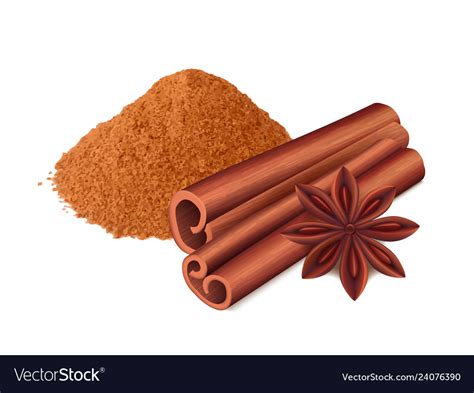 Cinnamon food spice sticks and leaf cooking Vector Image