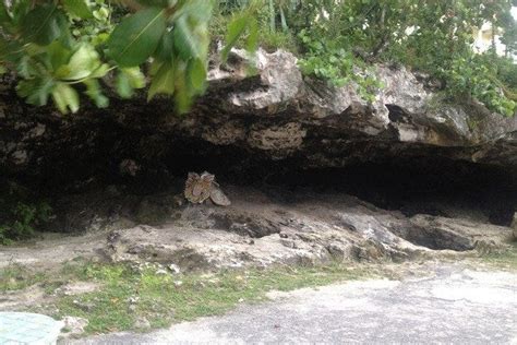 Caves Beach is one of the very best things to do in Nassau