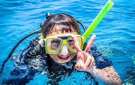 snorkel – Reef Experience