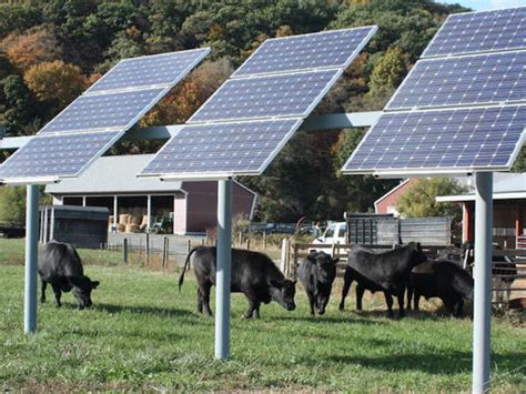 Your Pastures Would Make Great Solar Farms | On Pasture