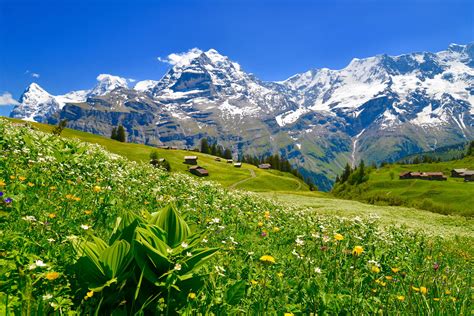 Mürren | Switzerland Tourism