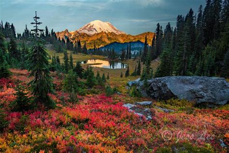 Washington State Nature Photos | Cascades, Rainforest, Seastacks ...