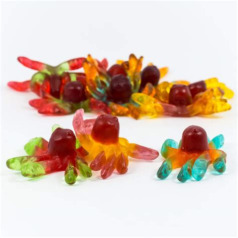 Gummy Octopus