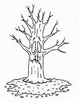 Free Bare Tree Coloring Pages Download  sketch template