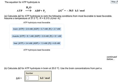 Solved The equation for ATP hydrolysis is Map H,O , ATP- > | Chegg.com