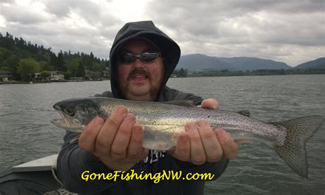 Lake Sammamish Cutthroat 4 – Gone Fishing Northwest