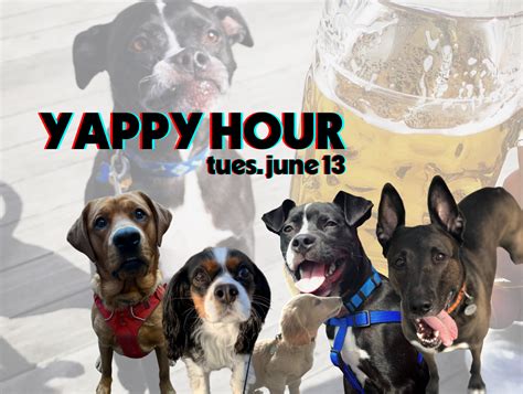 Yappy Hour! - Dorchester Brewing