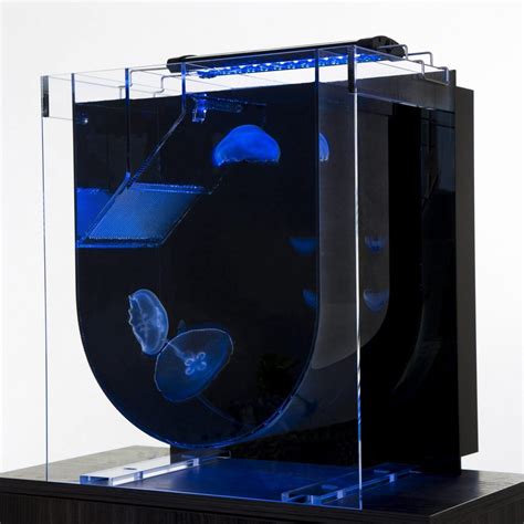 Medusa Desktop Aquarium | UK Jellyfish | Jellyfish aquarium