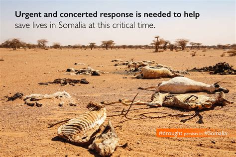 Drought in Somalia | Somalia | World Vision International