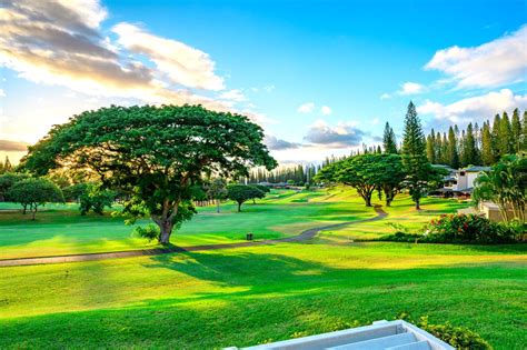 Kapalua Golf Wallpapers - Top Free Kapalua Golf Backgrounds ...