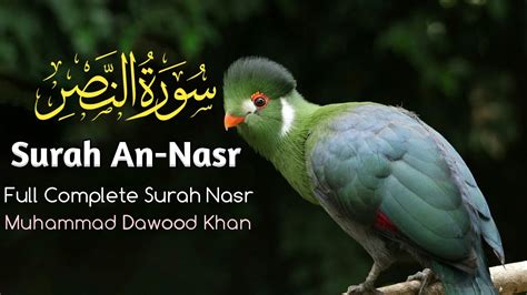 Surah An-Nasr | Surah Nasr | An Nasr - YouTube