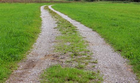 Free Images : tree, nature, trail, field, lawn, asphalt, walkway, dirt road, food, green, crop ...