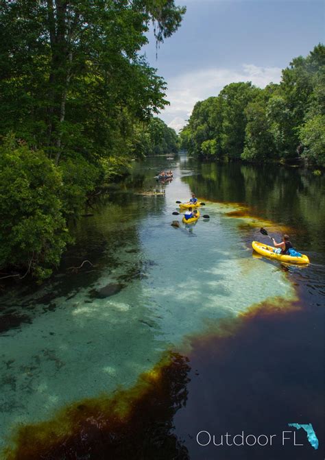 Paddling the Santa Fe River : r/florida