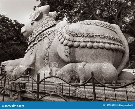 Beautiful View of Huge White Nandi or Basava Stone Statue in Chamundi Betta. Sculpture Design ...