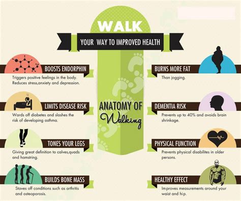 3 Health Benefits that Prove that Walking is Awesome – Po Campo