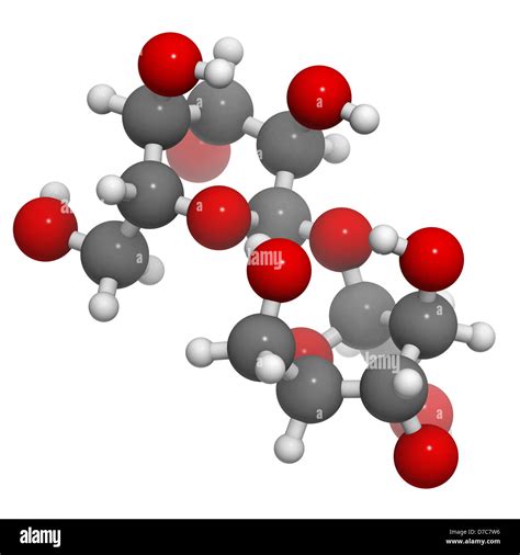 La sacarosa, azúcar (sacarosa) molécula, estructura química. Los átomos son representados como ...