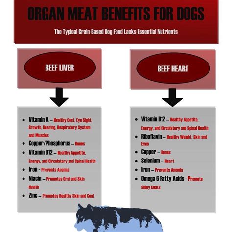 Nice summary of benefits from feeding your pup organ meats | Healthy dog food recipes, Eye ...