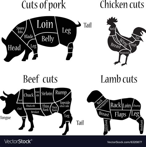 Deer Butcher Chart Poster