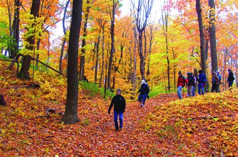 Fall Foliage returns to Washington County