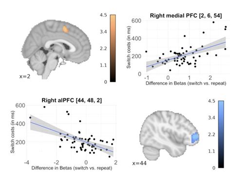 Social Cognitive and Affective Neuroscience – Social Neuroscience Lab ...