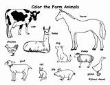 Farm Animals Coloring Page sketch template