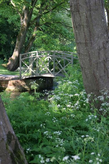 River Bank. Natural, wild flowers. www.athelhampton.co.uk. | River bank, Wild flowers, Nature