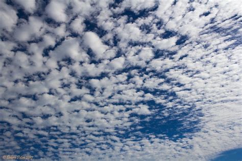 Cirrocumulus Clouds By PeaTree-Creations | Clouds, Clouds photography ...