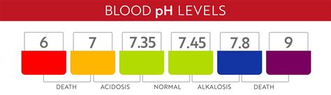 Premium Vector | Human blood ph range. medical illustration chart and scale. acidic, normal ...