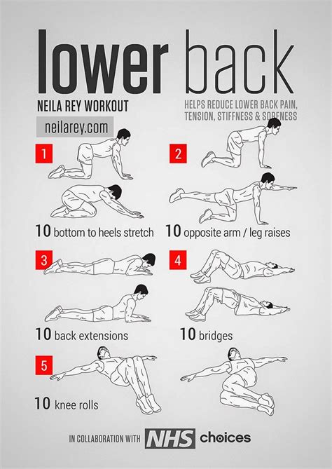 Lower Back Workout Helps reduce lower back pain, tension, stiffness & soreness. #fitness # ...