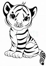 Coloring Pages  Baby Tiger Page sketch template