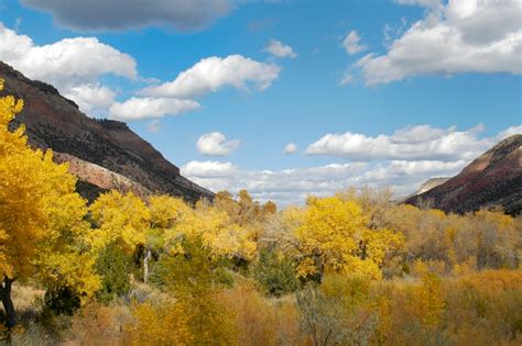 Fall Colors in New Mexico | Foliage, Byways & Wildlife