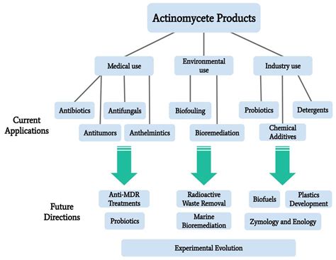 Marine Drugs | Free Full-Text | Marine Actinomycetes, New Sources of Biotechnological Products