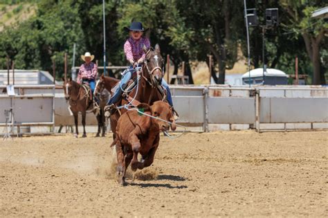 Record crowds attend 2023 rodeo - SanBenito.com | Hollister, San Juan ...