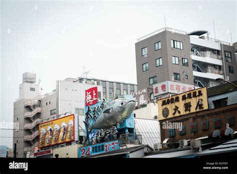 Tsukiji fish market Stock Photo - Alamy