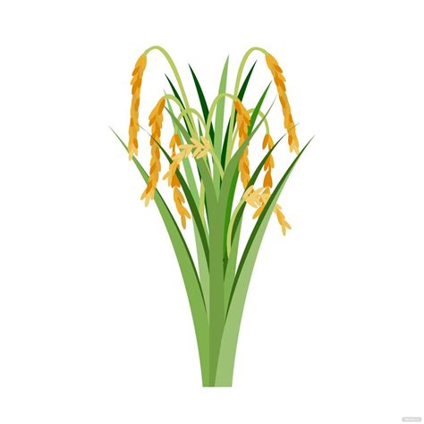 Rice Plant Vector in EPS, Illustrator, JPG, PNG, SVG - Download ...