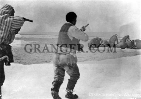 Image of ALASKA: WALRUS HUNTING. - Two Eskimo Men With Guns Raised, Hunting Walrus. Photographed ...