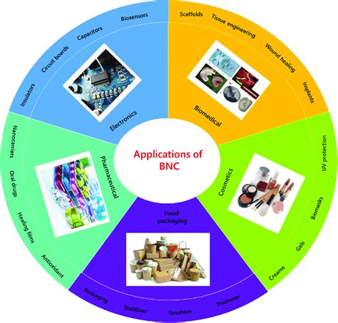 Applications of bacterial nanocellulose in different industries. | Download Scientific Diagram