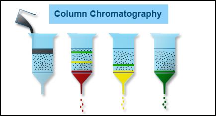 Column Chromatography Animation